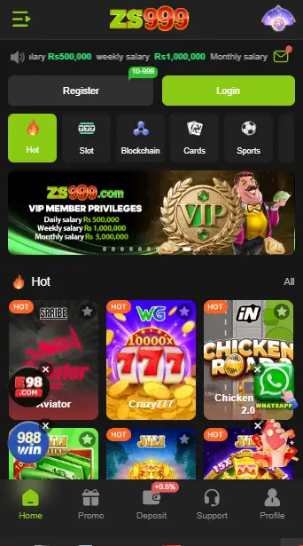 ZS999