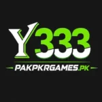y333 Game